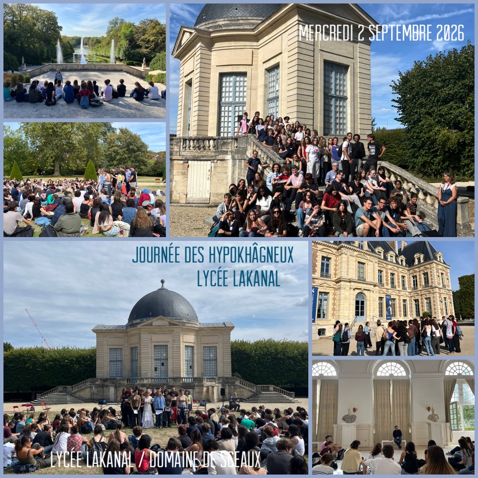 collage export bfbdf181 eacc 4045 8a47 4b7c9ce8a879