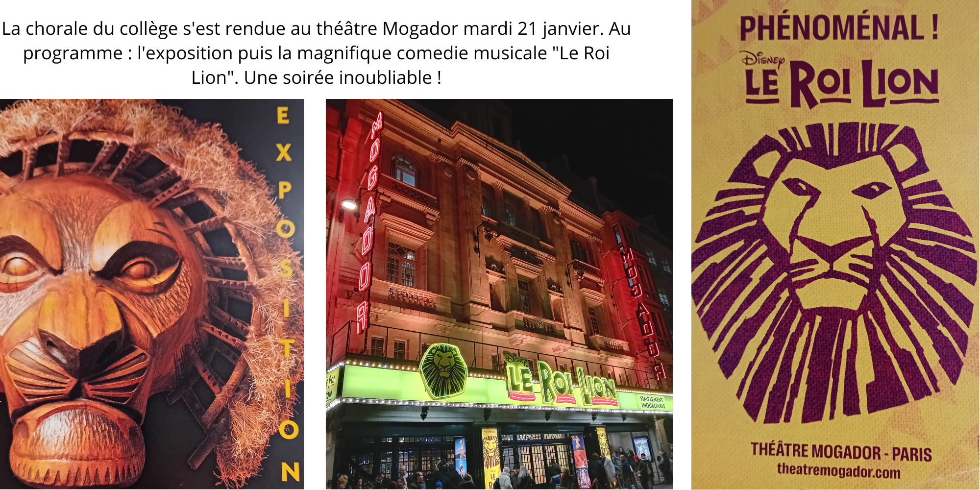 Le roi Lion College janvier 2025