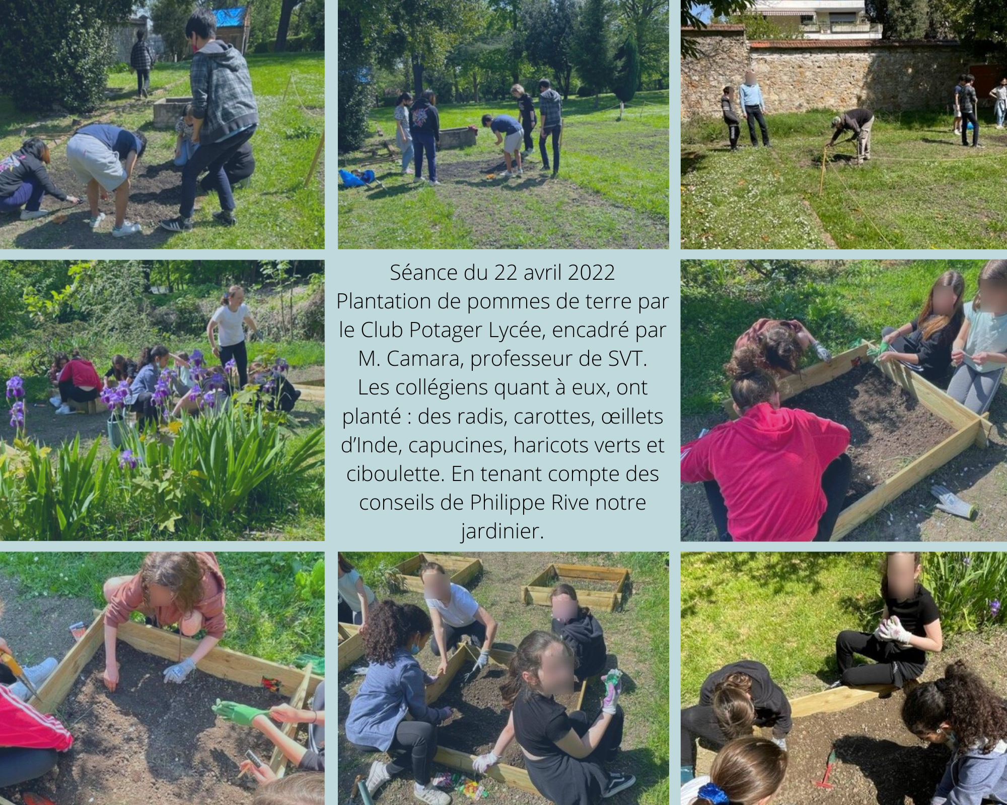 Club potager 22 avril 2022