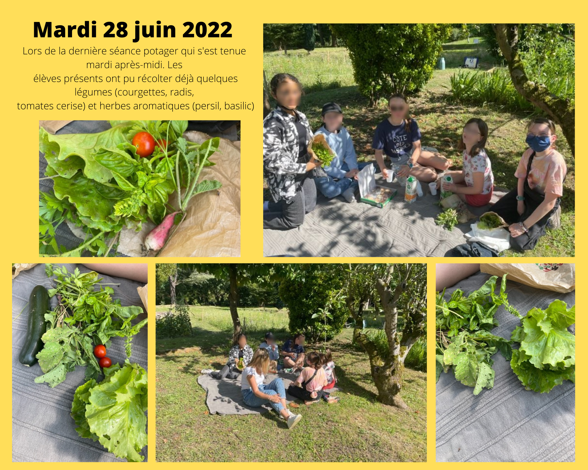 Potager 28062022