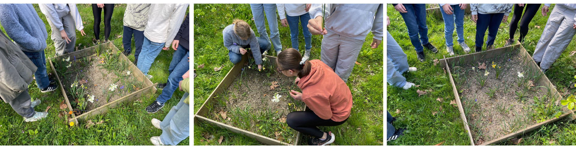 club-svt-potager-avril-2026