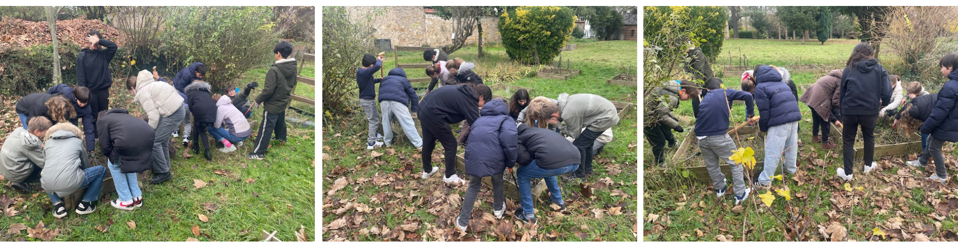 club svt potager decembre 2025