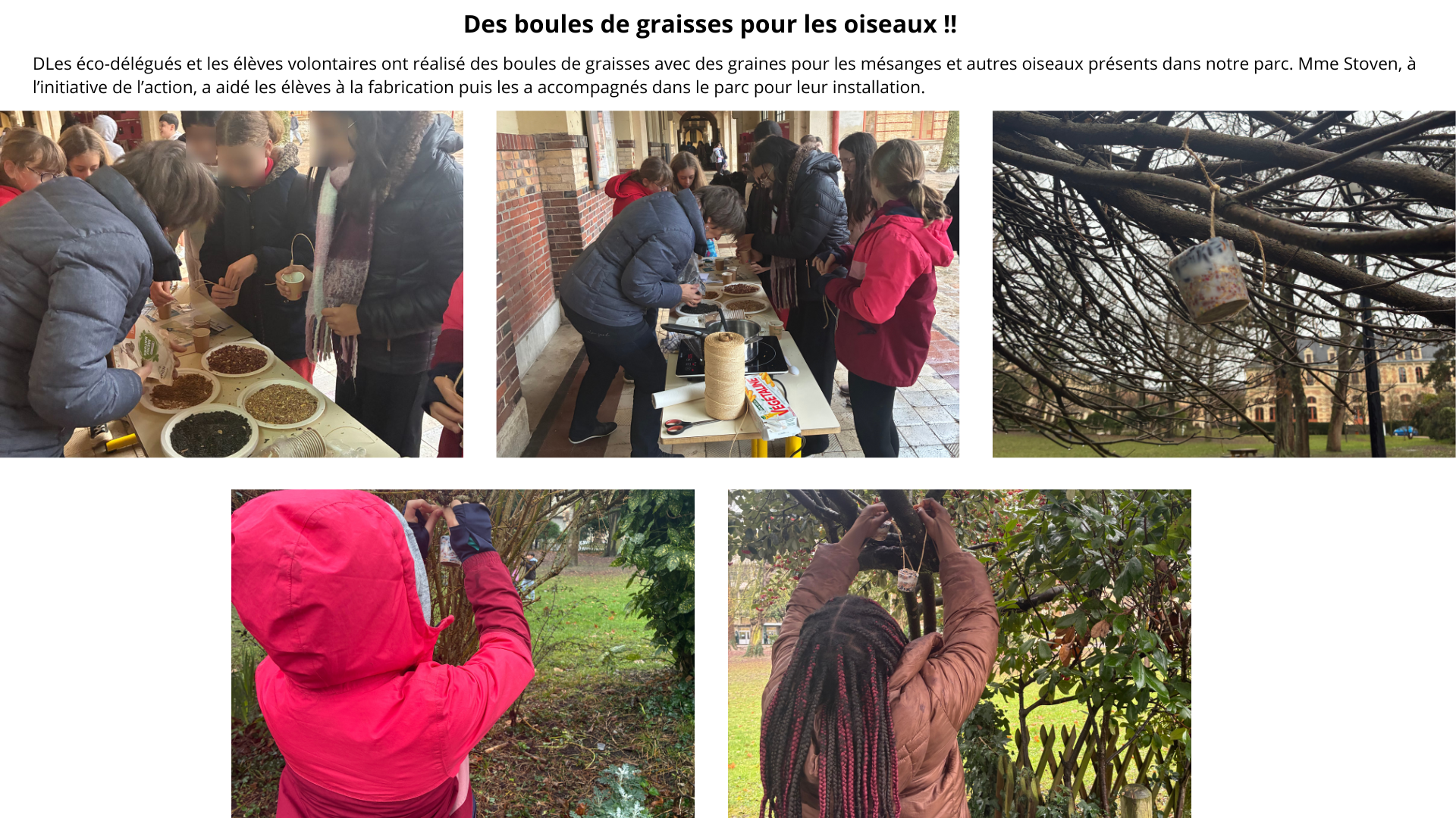 boules-de-graisse-eco-delegues