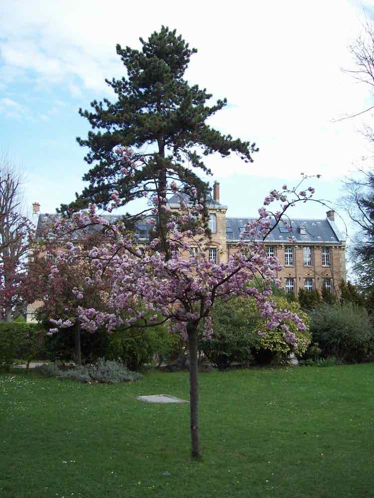 Lakanal aux couleurs du printemps