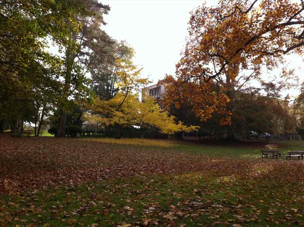 Lakanal aux couleurs de l'automne